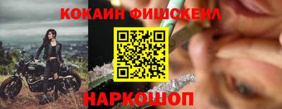 крисы Кулебаки
