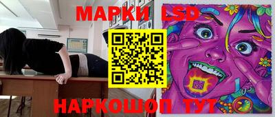 крисы Кулебаки