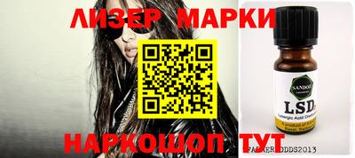 крисы Кулебаки