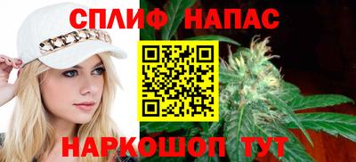 крисы Кулебаки