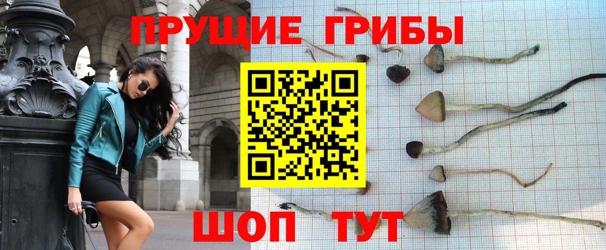 Псилоцибиновые грибы Cubensis Чехов
