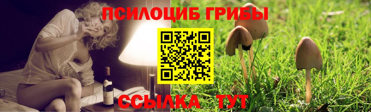 Галлюциногенные грибы Magic Shrooms  Вход с VPN  Чехов 
